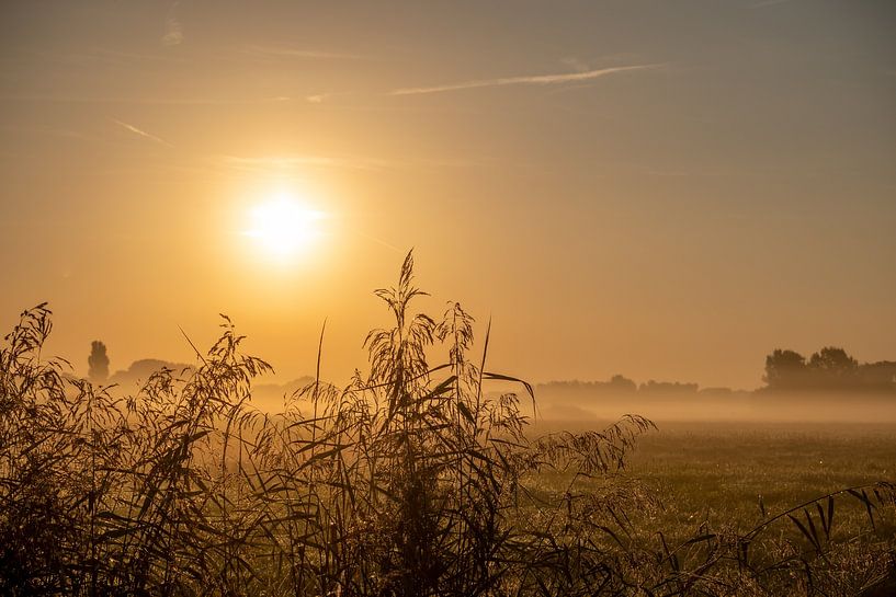 Sonnenaufgang im Polder von Lilian Photography