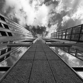 Rotterdam 5 van JB. Photography