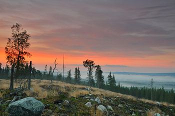 Fulufjället Nationalpark in Dalarna