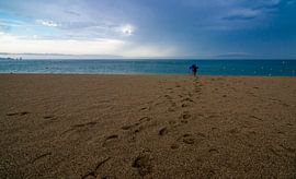 Pals 12 sur Deshamer