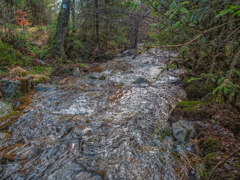 Stromend rivier met prachtige landschap van Nature Life Ambience