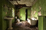 Grün verlassenes Badezimmer. von Roman Robroek – Fotos verlassener Gebäude Miniaturansicht