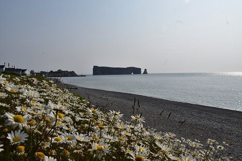Uitzicht vanaf de rots een zomerse ochtend