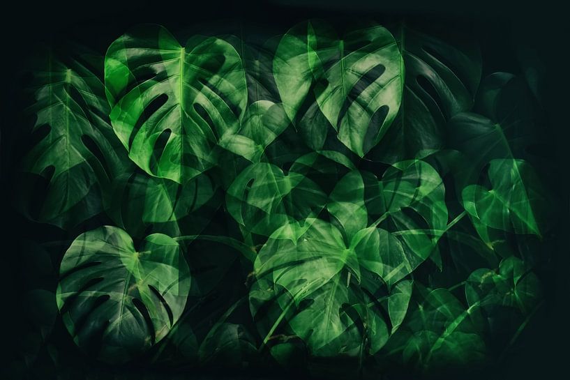 Green Monstera Shapes by Marlika Art