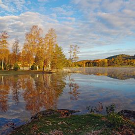 Autumn Morning In Dalsland by Reinhard  Pantke