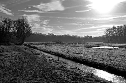 Weilanden bij het Naardermeer