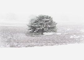 Snowstorm by Angelique Theunissen