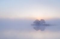 Strabrechtse Heide 224