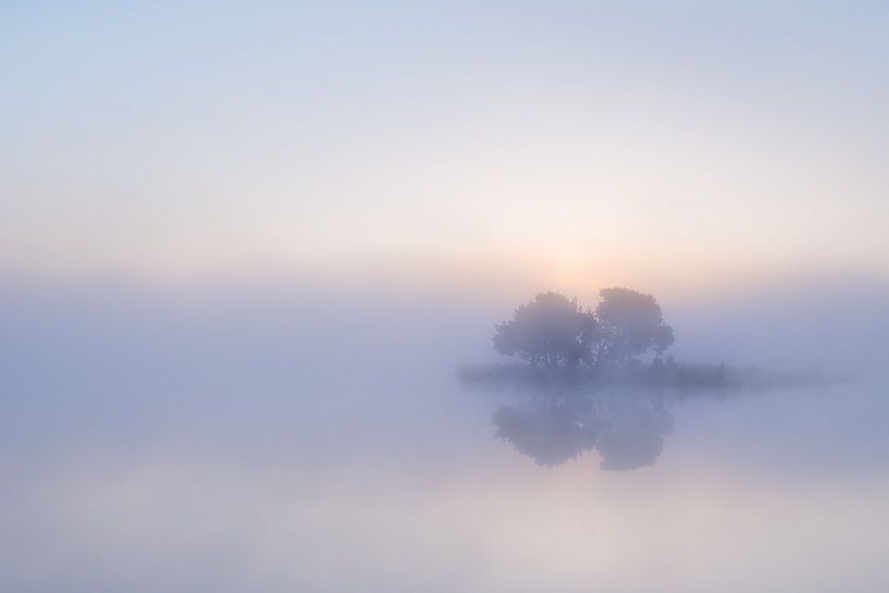 Strabrechtse Heide 224 van Deshamer