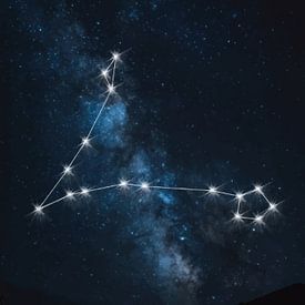 Pisces: The Dreamy Dreamer by Himler Razan