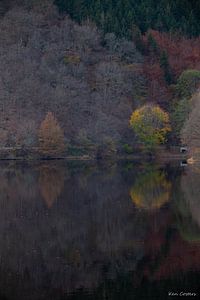 Herbst im Wald von Ken Costers
