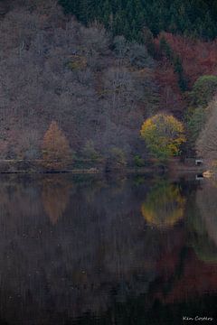 Autumn in the forest by Ken Costers