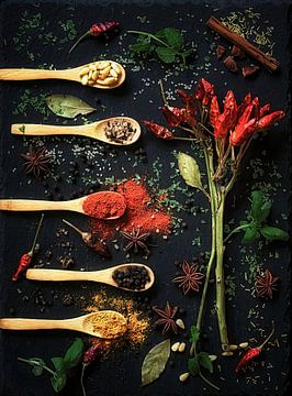 Cheerful palette with spices. by Saskia Dingemans