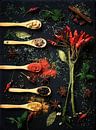 Cheerful palette with spices. by Saskia Dingemans Awarded Photographer thumbnail