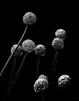 Atomium