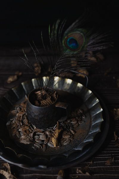 Still life with peacock feather by Steven Dijkshoorn
