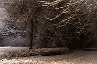 winteravond