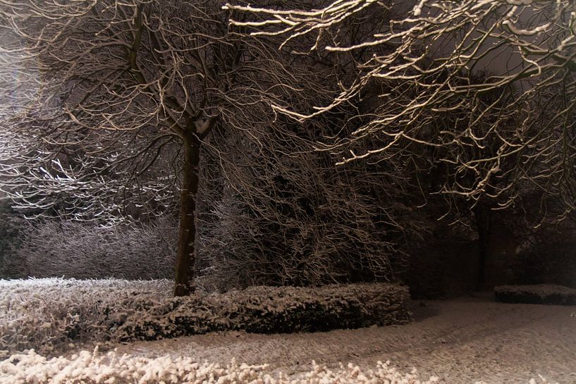 winteravond by Bianca Muntinga