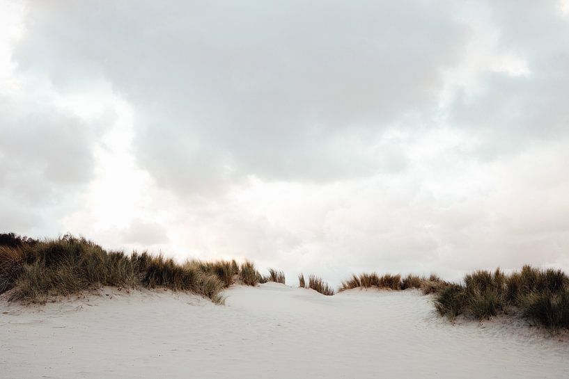Winter beach breeze by Elise van Gils