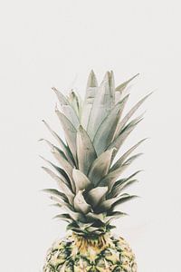 De kroon van de ananas van MADK