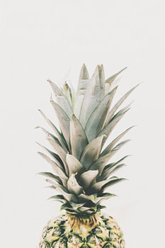 Die Krone der Ananas