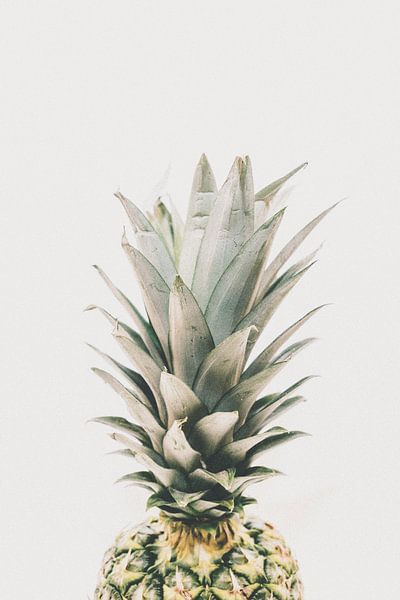 The crown of the pineapple by MADK