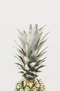 The crown of the pineapple by MADK thumbnail