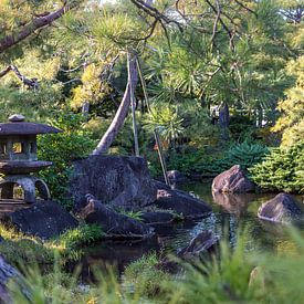 jardin japonais sur Douwe van Willigen