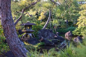 jardin japonais sur Douwe van Willigen