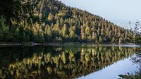 Begin van de herfst