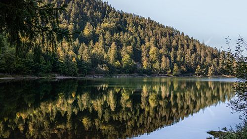 Begin van de herfst van Studio Aspects