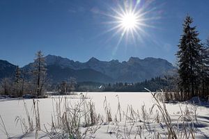 Winter am Barmsee