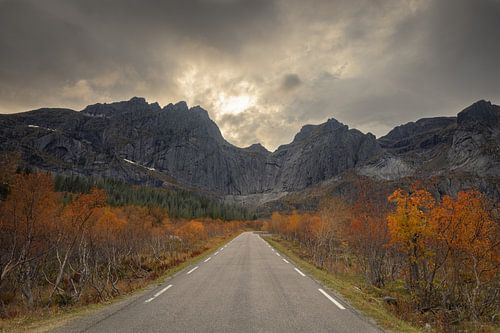 Mittelmaß der Straße