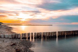 Sunrise on the beach Ghost Forest Nienhagen on the Baltic Sea, Baltic Sea coast, Mecklenburg-Western Pomerania, Germany by Thilo Wagner