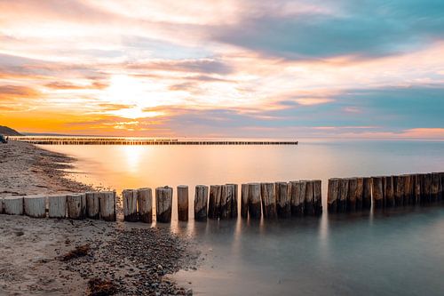 Sunrise on the beach Ghost Forest Nienhagen on the Baltic Sea, Baltic Sea coast, Mecklenburg-Western Pomerania, Germany