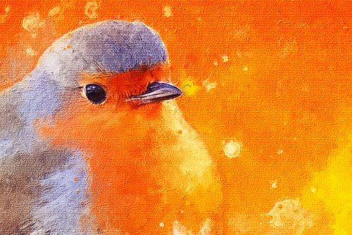 Roodborstje tegen een oranje achtergrond (kunst, close-up)