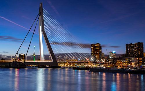 The bridge