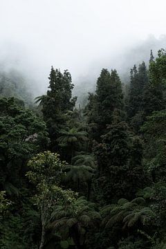 De stilte van mist
