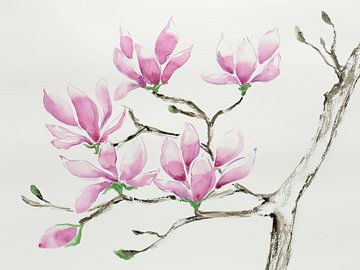 Magnolia in bloom (blossom branch watercolour painting flowers plants soft pastel colours spring nat by Natalie Bruns