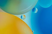 Circles | abstract