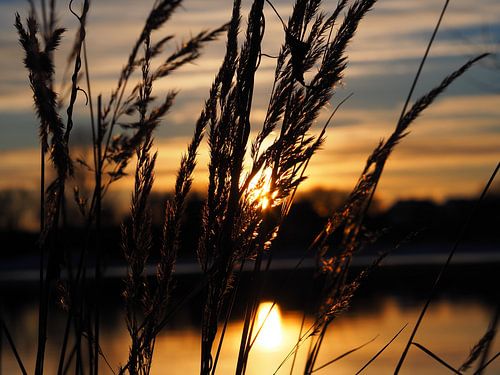 Moments inoubliables Partie 1