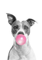 Lustiger Hund