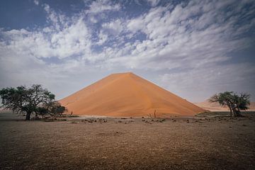 Sand dune in the Namib Desert by Namibia by Patrick Groß