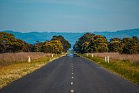 Road Trip