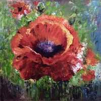 Mohnblume