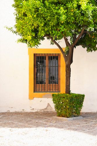 Jaune et vert de Séville