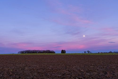 Duitsland, Maneschijn over bruine akker en groene velden erachter met weinig bos na zonsondergang