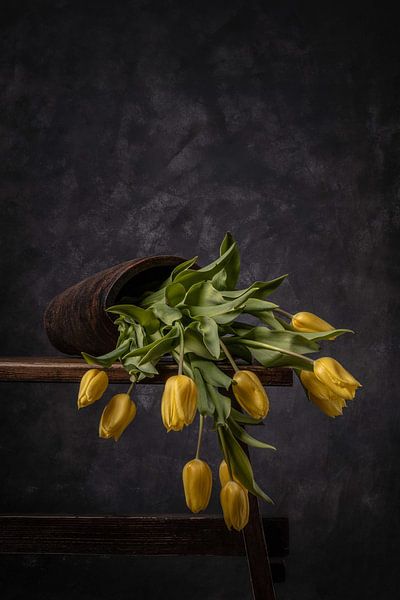 Tulip vase fallen over by Peter Abbes