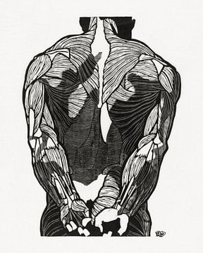 Anatomie Mann mit Muskeln, Reijer Stolk von Atelier Liesjes