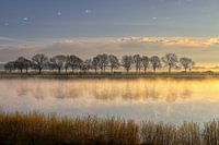 Reflection